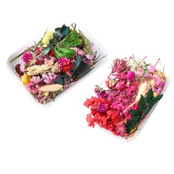 СУШЕНЫЕ ЦВЕТЫ ДЛЯ СВЕЧ И РУКОВОДСТВ - НАТУРАЛЬНЫЕ УКРАШЕНИЯ