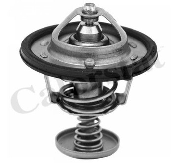 ТЕРМОСТАТ TH6870.82J CALORSTAT VERNET