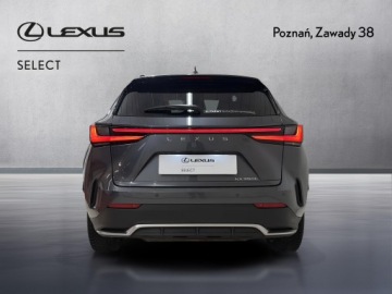 Lexus NX II SUV Facelifting 2.5 350h 243KM 2023 Lexus NX 350h F Sport AWD II (2021-) Lexus NX 350h, zdjęcie 6