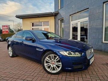Jaguar XE Sedan 2.0 i4 180KM 2015 Jaguar XE Prestige Automat Xenon Ledy Navi, zdjęcie 7
