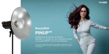 Блюдо PINUP 42см СЕРЕБРЯНЫЙ РАССЕИВАТЕЛЬ С РУЧКОЙ BOWENS