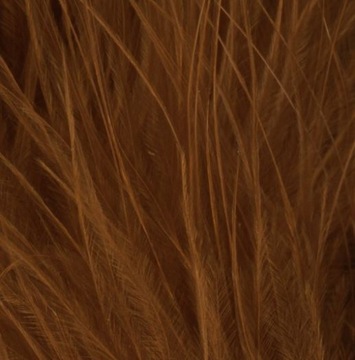 Taimen pióra Marabou 10-12cm Orange Olive