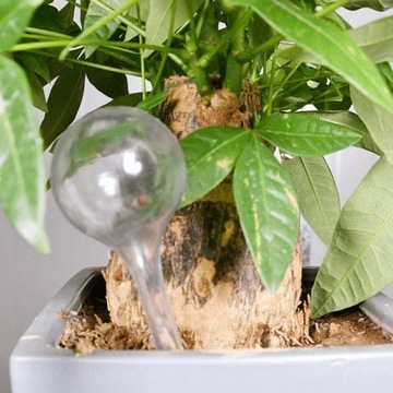 10 ШАРИКОВ ДЛЯ ПОЛИВА ДЛЯ ЦВЕТОВ, ДИСПЕНСЕР ВОДЫ ДЛЯ ПОЛИВА ДОМА