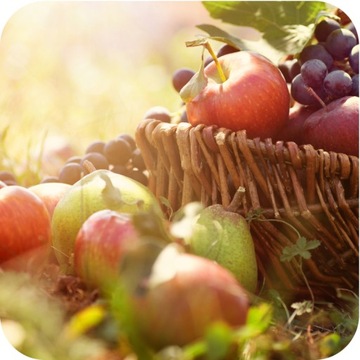 Универсальные удобрения Азофоски 10 кг гранул для сада обильных урожаев пышная трава