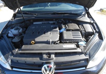 Volkswagen Golf VII Variant 2.0 TDI BlueMotion Technology 150KM 2016 Volkswagen Golf Volkswagen Golf VII 2.0 TDI 150 km 2.0 Diesel 150KM, zdjęcie 12