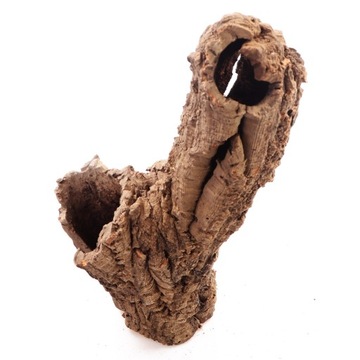 JEDYNA ODPORNA KORA NA WILGOĆ LAS W SŁOIKU SZKLE