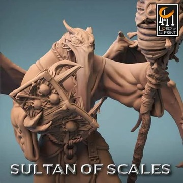 Dragonborn Necromancer