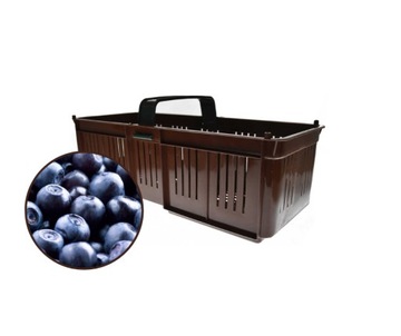 Лубянки Кобияки Пластик для клубники, 1 шт.