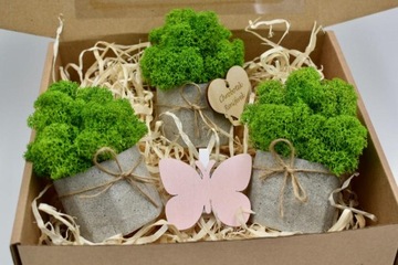 Весенний набор крабовых лесов