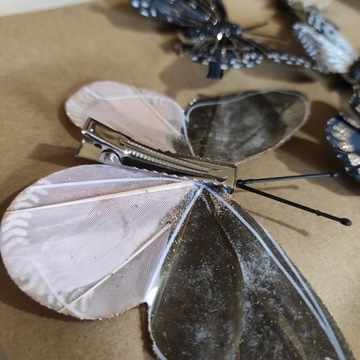 Mix motylków MOTYLE spinacz czerń brąz złoto 6szt