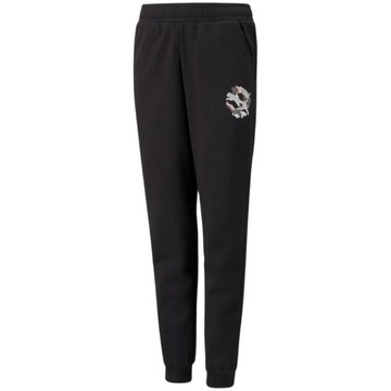 Spodnie dla dzieci Puma Alpha Sweatpants FL L 152