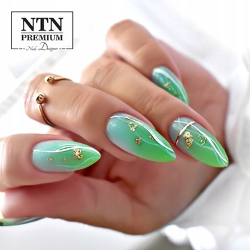 Ntn SET 10 ГИБРИДНЫХ ПОЛИРОВ TOP BASE