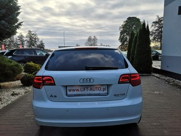 Audi A3 8P Hatchback 3d 2.0 TDI CR 140KM 2009 Audi A3 2.0 TDI 140KM # Klimatr # Ledy # Bi-XENON, zdjęcie 6