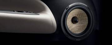 НАБОР FOCAL MIDRANGE MEDIUM ИЗ НАБОРА PS 165F3E FLAX EVO, ПАРА, СДЕЛАНО ВО ФРАНЦИИ