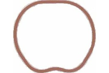 ELRING 025.260 TĚSNĚNÍ KOLEKTOR NASÁVÁCÍ