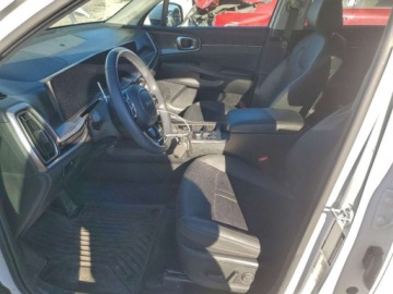 Kia Sorento IV 2025 Kia Sorento S 2025 2.5 Benzyna 191KM, zdjęcie 7