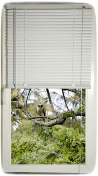 ŻALUZJE PCV ścienna POZIOMA 25mm WENECKA 40x160