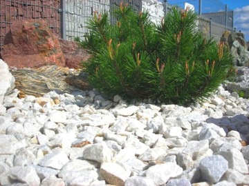 GRYS GRANITOWY SZARY ZASYPKA PIASEK 1-3mm 20 kg