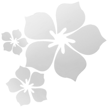 АКРИЛОВЫЕ НАКЛЕЙКИ С ЗЕРКАЛОМ, ПРИКРЕПЛЕННЫМ НА СТЕНЫ