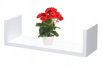 Półka do salonu na książki resoraki kwiaty-płyta laminowana 40x25, 3 kolory