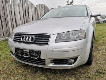 Audi A3 8P Hatchback 3d 1.6 102KM 2004 Audi A3 Audi A3 8P 1.6MPI 102KM Z Niemiec