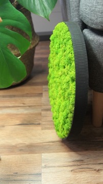 Картина круг со мхом, диаметр 50 см.