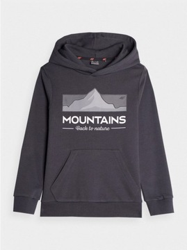 СВИТШОТ С КАПЮШОНОМ 4F ДЛЯ МАЛЬЧИКОВ AW23M634