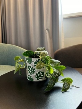 OSŁONKA DONICZKA 20 CM SZARA z ZIELONA MONSTERA