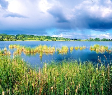 Kalendarz 2025 ścienny PLANER do notatek dla 5 osób PEJZAŻE