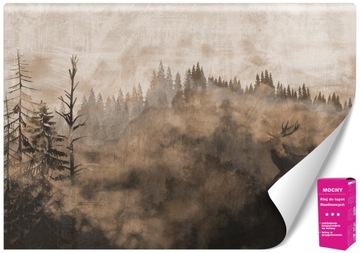 Fototapeta Natura Las Tapeta na ścianę do Sypialni