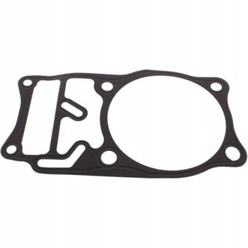 Uszczelka pod cylinder tylny 7343349