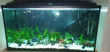 ТАССОС ГРИС 8-16мм 5кг СНЕЖНО-БЕЛЫЙ GLITTER GARDEN