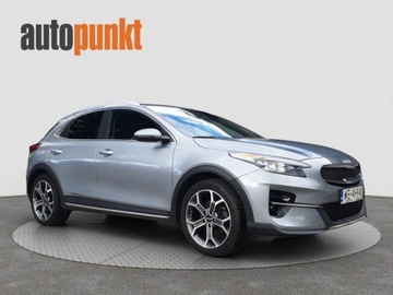 Kia XCeed Crossover 1.5 T-GDI 160KM 2021 Kia XCeed Kia XCEED 1.5 T-GDI Business Line 1.5 Benzyna 160KM