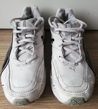 Buty sportowe, adidasy firmy Puma