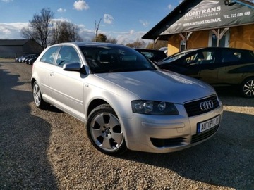 Audi A3 8L Hatchback 1.6 i 102KM 2003