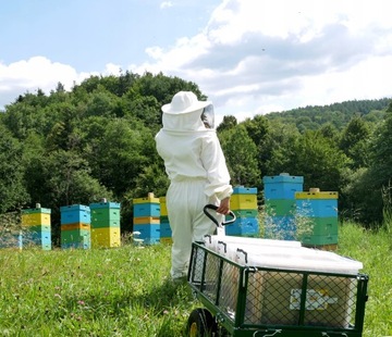 КОНТЕЙНЕР 30 Л ДЛЯ СОТОВЫХ РАМОК ВЕЛИКОЙ ПОЛЬШИ