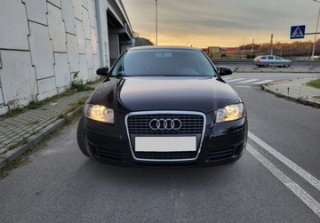 Audi A3 8P Hatchback 3d 1.9 TDI 105KM 2007 Audi A3 1.9 TDI 105KM Climatronic Alufelgi 17 ..., zdjęcie 1