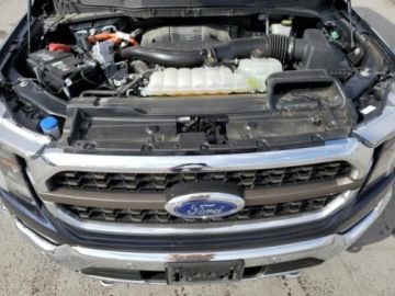 Ford 2023 Ford F150 2023, 3.5L, 4x4, KING RANCH, porysowany lakier 3.5 Hybryda 430KM, zdjęcie 10