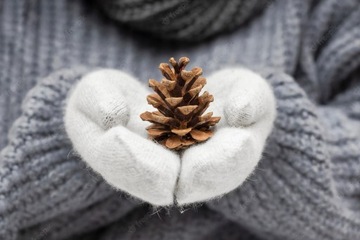 ДЕКОРАТИВНОЕ ПЛАТЬЕ SZUSZ НАТУРАЛЬНЫЕ СОСНОВЫЕ ШИШКИ ПОД ЖИВЫЕ ИСКУССТВЕННЫЕ ЦВЕТЫ