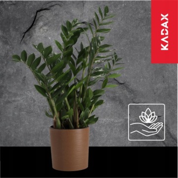 КРЫШКА ДЛЯ ЦВЕТОЧНОГО ВАЗОНА ЦВЕТОЧНАЯ ЧАША ЦВЕТОЧНЫЕ ЦВЕТА 30см