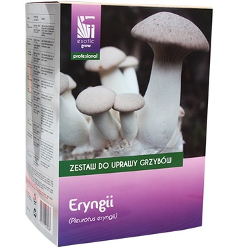 Eryngii zestaw do uprawy grzybów