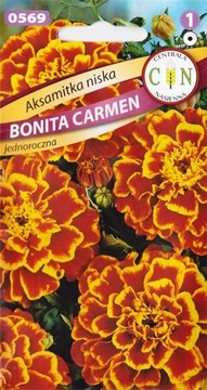 AKSAMITKA NISKA BONITA CARMEN POMARAŃCZOWO BRĄZOWA NASIONA