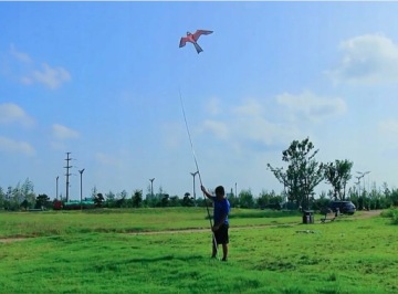 Воздушный змей отпугиватель птиц Скворцы, прочная мачта, 7 м, поворотный