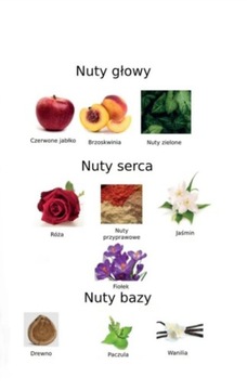 АРОМАТНЫЙ ДИФФУЗОР SORVELLA BALI 120 мл