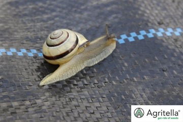 КОВрик ДЕТСКОЙ под кору, мульча против сорняков ЧЕРНАЯ ТКАНЬ НЕТКАНАЯ 90г 4х10м