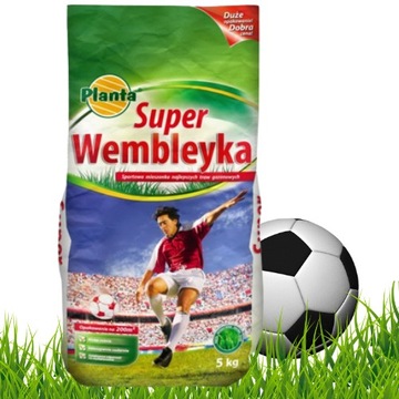 TRAWA SUPER WEMBLEYKA SPORTOWA NASIONA TRAWY 5kg