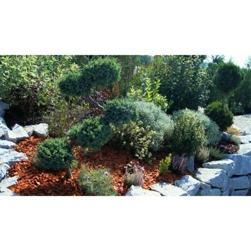 Zrębki dekoracyjne Pomarańczowe 50L