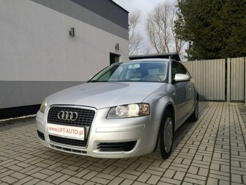 Audi A3 8P Hatchback 3d 1.9 TDI 105KM 2007