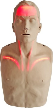 Fantom Brayden LED