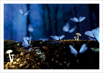 Плакат для домашнего декора Воздушный шар 70х50 К43